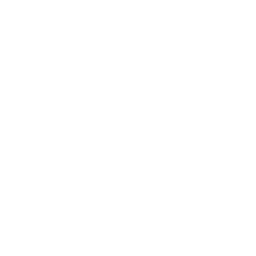 101st Airborne Division