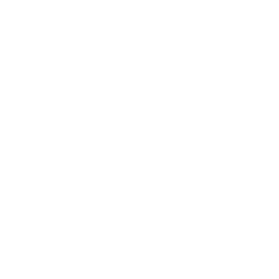 3rd US Infantry Regiment (The Old Guard)