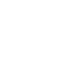 82nd Airborne Division